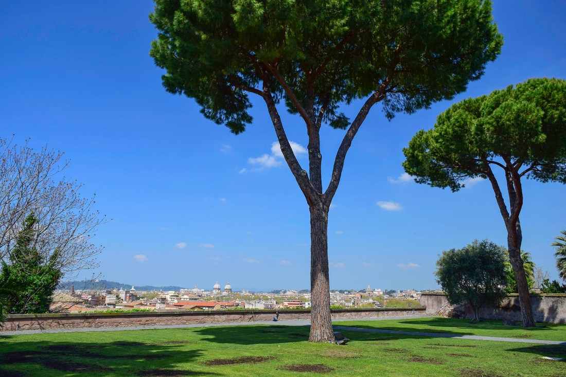 The Terrace of the Monastery of Santi Alessio e Boniface Photograph taken by David Hill, 13 April 2015, 12.15 GMT Turner stood on the edge of this terrace and sketched the view across Rome. The sketch and its subject are considered in much greater detail later in this article. It was a particular pleasure to see the lineal descendants of his umbrella pines still giving shade to the garden. The monastery now houses the Instituto Nazionale di Studi Romani. There is no public access to the terrace, and Turner must in his day have negotiated access with the prior. The monastery is now an important centre for the study of Rome and welcomes academic interest. Click on the following link and use your browser’s ‘back’ button to return to this page: http://www.studiromani.it/index.htm/ Click on image to view full size 