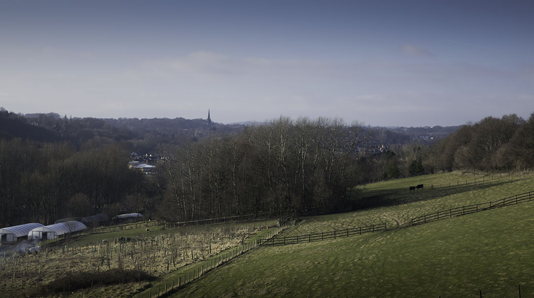 St Chad’s Headingley from Sugarwell Hill, Meanwood Valley. Photograph by David Hill, taken 10 February 2015, 15.36 Taken on the same line of sight as Grimshaw’s watercolour, but from further back. Grimshaw’s exact viewpoint can be made out to the left, where Woodhouse Ridge turns away towards Headingley. Click on image to view at full size.