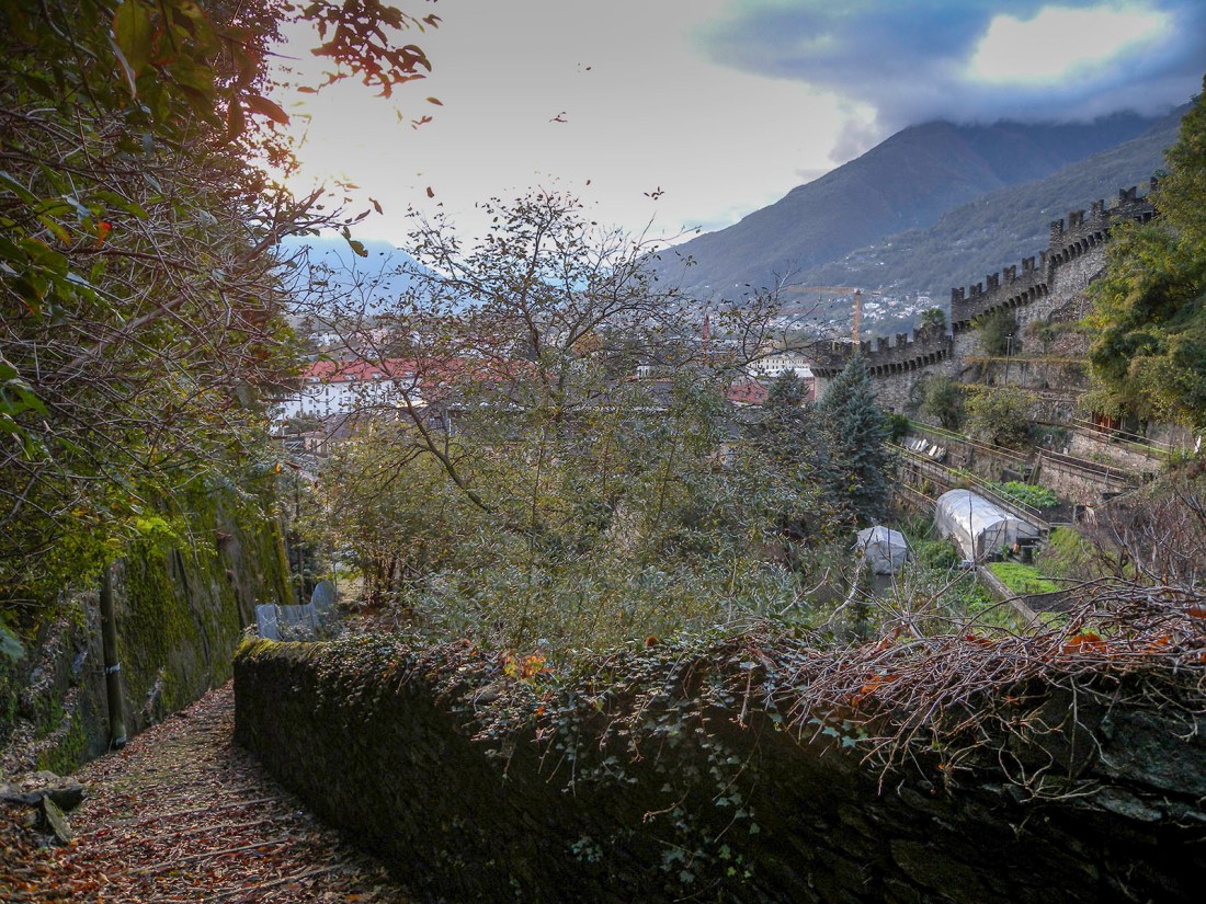 Bellinzona: View from the Salita della Nocca Photograph by David Hill taken 1 November 2012, 15.24 GMT Ruskin seems to have taken advantage of the natural rock seat at the bottom left corner of this image. The building behind the trees in the centre is the present-day youth hostel. To the right are the walls and vineyard terraces of Montebello Castle. The site would have provided Ruskin with a shaded place to work in the heat of his visit in June-July 1858. Click on image to enlarge