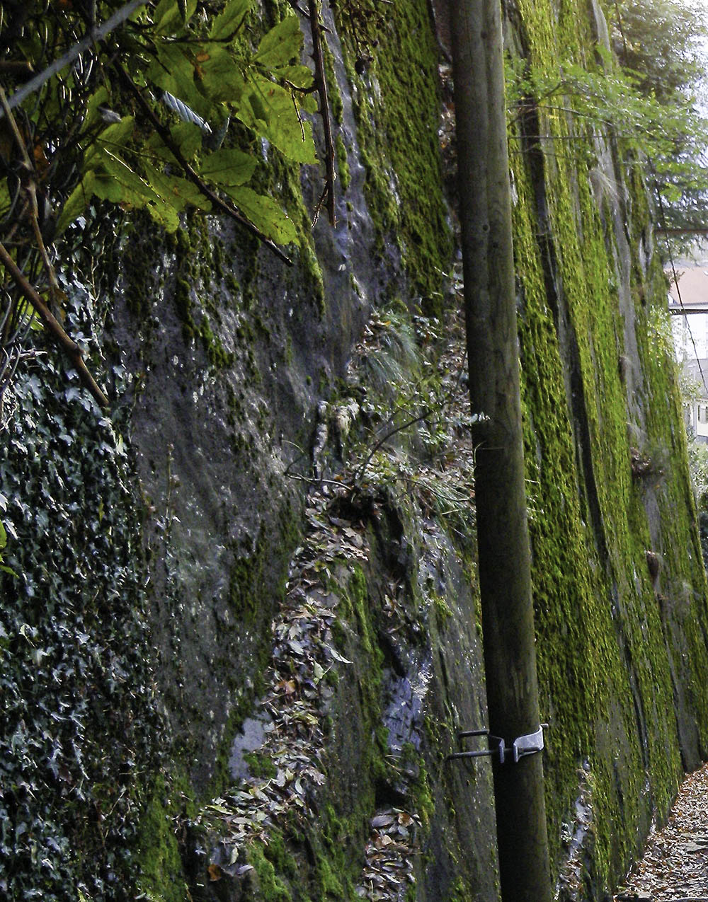 Rock study on the Salita della Nocca, Bellinzona Photograph by David Hill taken 1 November 2012, 15.27 GMT This photograph is cropped to exactly the same field of view as the daguerreotype taken for Ruskin by Frederick Crawley. The daguerreotype is currently exclusively available in the new publication, ‘Bringing Home the Palaces: The Lost Daguerreotypes of John Ruskin’ by Ken and Jenny Jacobson (Quaritch, 2015). I did not know of the daguerreotype when I visited Bellinzona in 2012, but give that Ruskin was taking advantage of a natural rock seat as his vantage point it is not coincidental that I Photographed the same view. Even so it was exciting to see just how well preserved are the details today. Ruskin might not have been so enamoured of the drain pipe now fixed to the rock. Click on image to enlarge