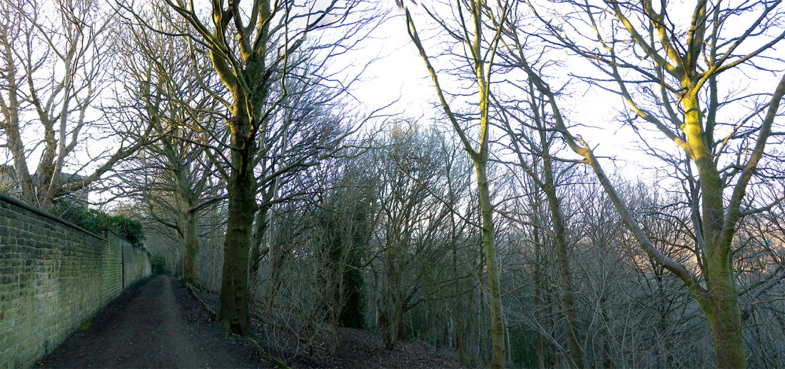 Woodhouse Ridge Photograph by David Hill, taken 3 February 2015, 15.44 Click on image to enlarge.