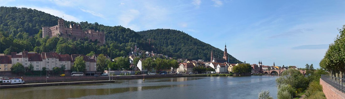 Heidleberg Castle, Town and Bridge from the banks of the Neckar, upstream of the old bridge Photograph by David Hill taken 27 August 2015, 08.30 GMT 