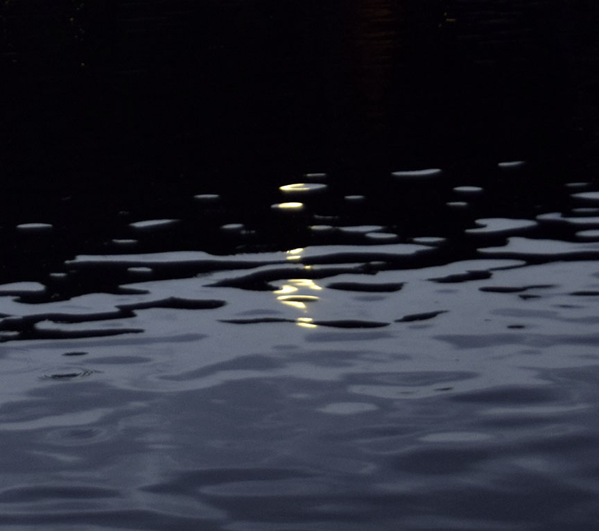 Moonight reflection