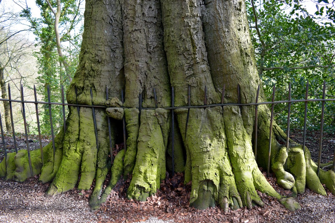 Ruskin’s railings. Photograph by David Hill, taken 25 March 2016, 11.30 GMT 