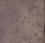 A Mountain Ridge with Trees in the Foreground 1801 by Joseph Mallord William Turner 1775-1851