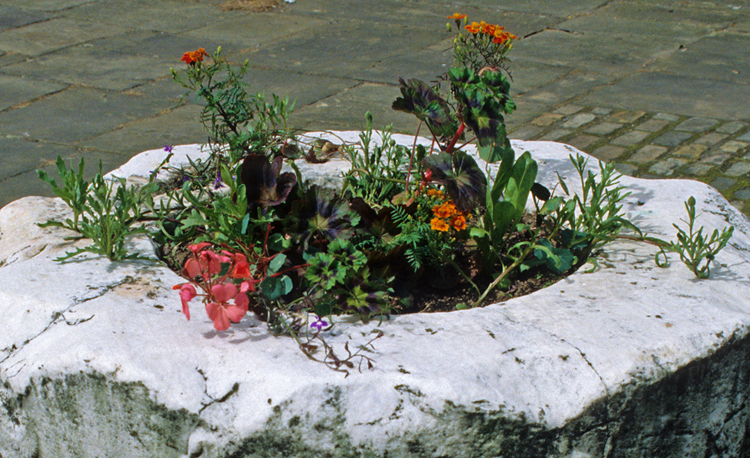 Bretton puteal flowers detail edit SS