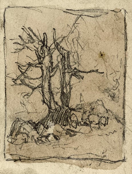 Blasted oak sketch