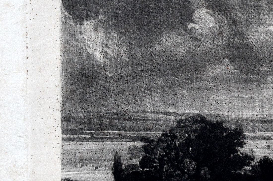 DH Summerland detail spots left