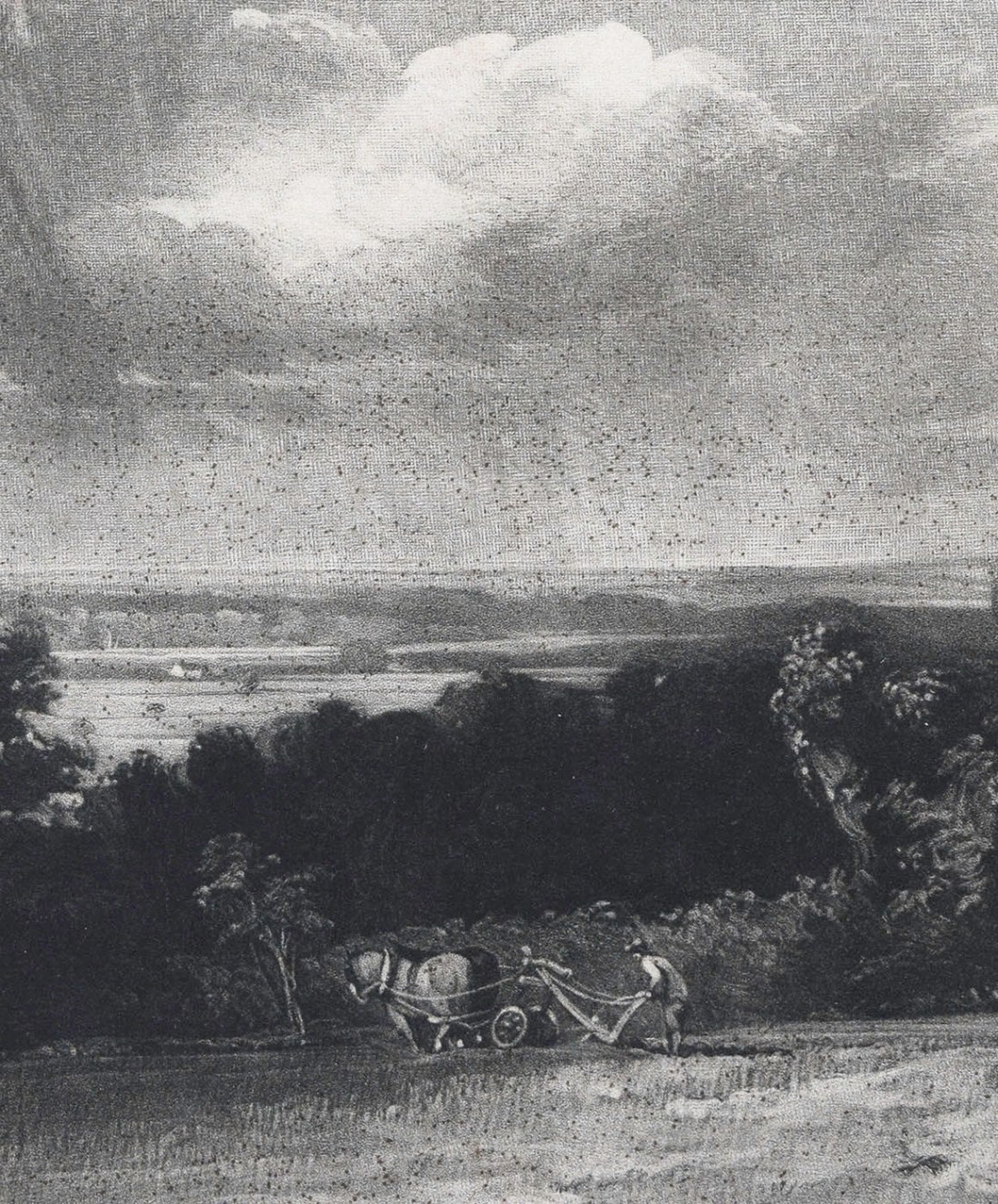 Summerland DH detail ploughman upright