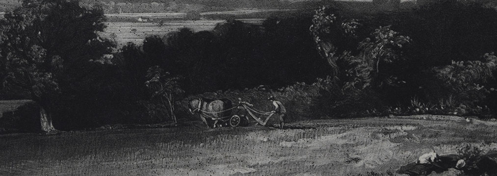 Summerland DH detail ploughman