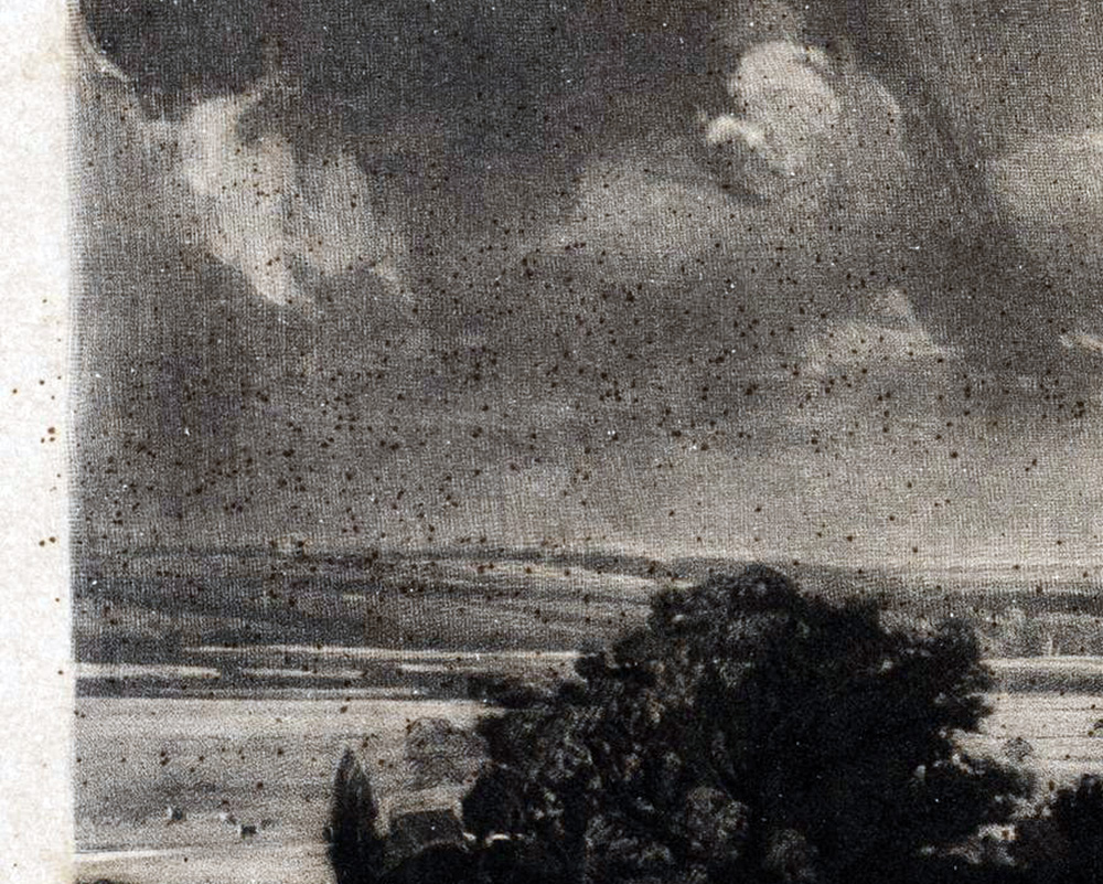 VA E822.2016 detail of spots left