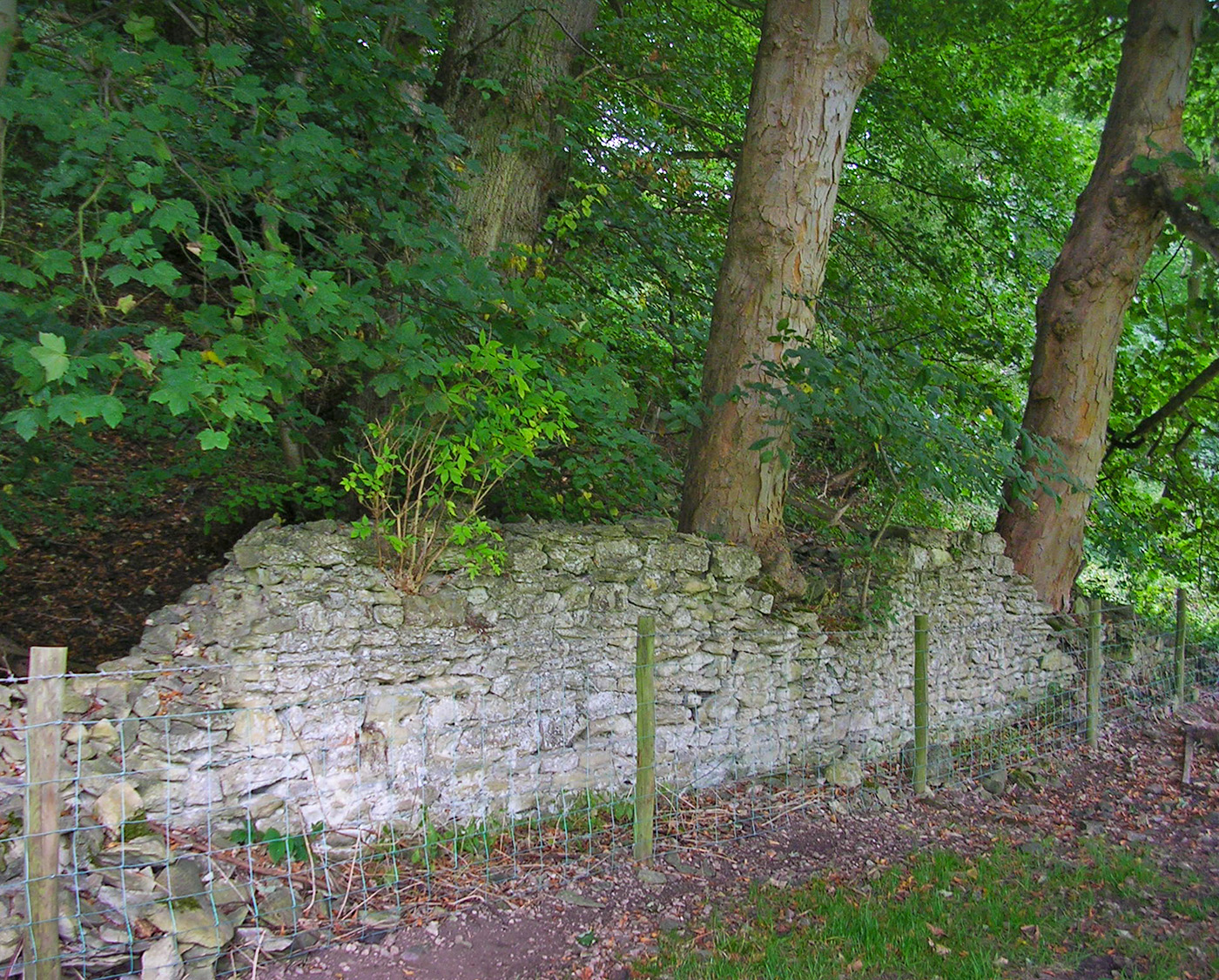 Duncombe Wall 2005